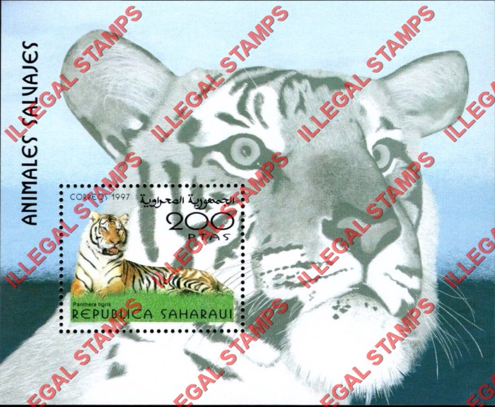 Republica Saharaui 1997 Big Cats Counterfeit Illegal Stamp Souvenir Sheet of 1 Republica Saharaui 1997 Big Cats Counterfeit Illegal Stamp Souvenir Sheet of 1