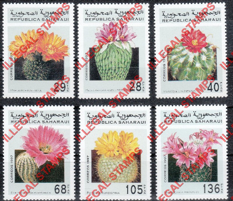 Republica Saharaui 1997 Cactus Flowers Counterfeit Illegal Stamp Set of 6 Republica Saharaui 1997 Cactus Flowers Counterfeit Illegal Stamp Set of 6