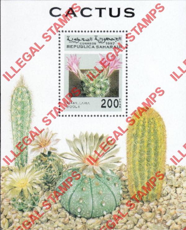 Republica Saharaui 1997 Cactus Flowers Counterfeit Illegal Stamp Souvenir Sheet of 1 Republica Saharaui 1997 Cactus Flowers Counterfeit Illegal Stamp Souvenir Sheet of 1