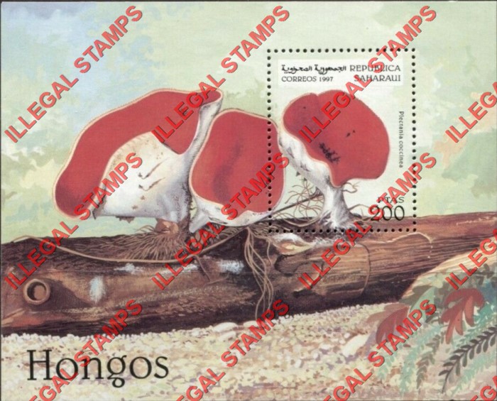 Republica Saharaui 1997 Mushrooms Counterfeit Illegal Stamp Souvenir Sheet of 1 Republica Saharaui 1997 Mushrooms Counterfeit Illegal Stamp Souvenir Sheet of 1