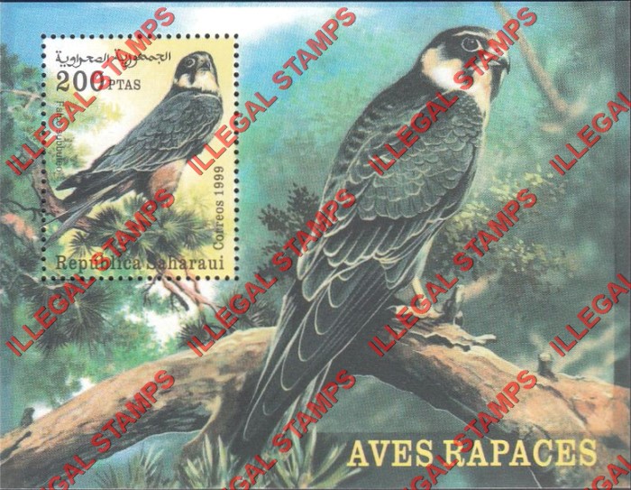 Republica Saharaui 1999 Birds of Prey Counterfeit Illegal Stamp Souvenir Sheet of 1 Republica Saharaui 1999 Birds of Prey Counterfeit Illegal Stamp Souvenir Sheet of 1