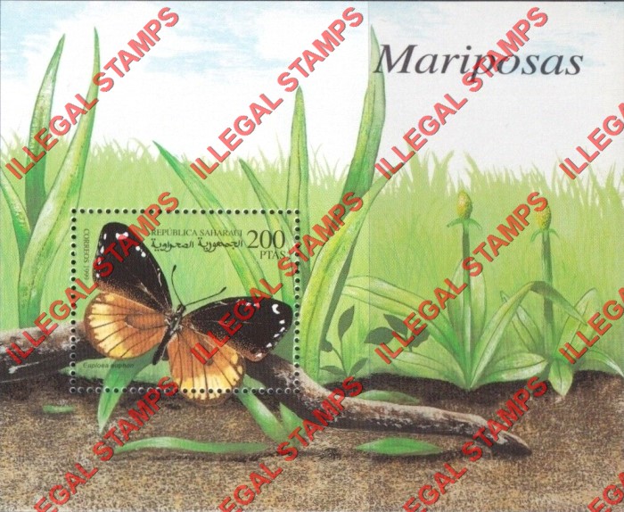 Republica Saharaui 1999 Butterflies Counterfeit Illegal Stamp Souvenir Sheet of 1 Republica Saharaui 1999 Butterflies Counterfeit Illegal Stamp Souvenir Sheet of 1