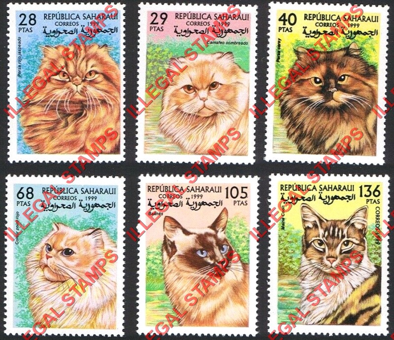 Republica Saharaui 1999 Cats Counterfeit Illegal Stamp Set of 6 Republica Saharaui 1999 Cats Counterfeit Illegal Stamp Set of 6